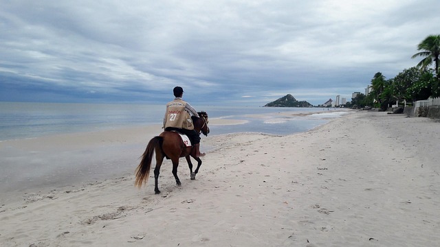 Horse Riding In Hua Hin - Free photo on Pixabay