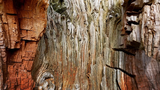 Free Old Wood photo and picture