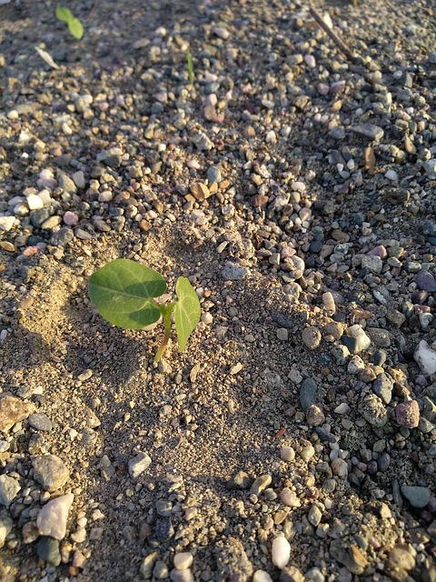 Free Soil Nature photo and picture
