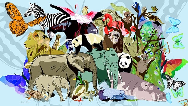 Free zoo animals peacock illustration