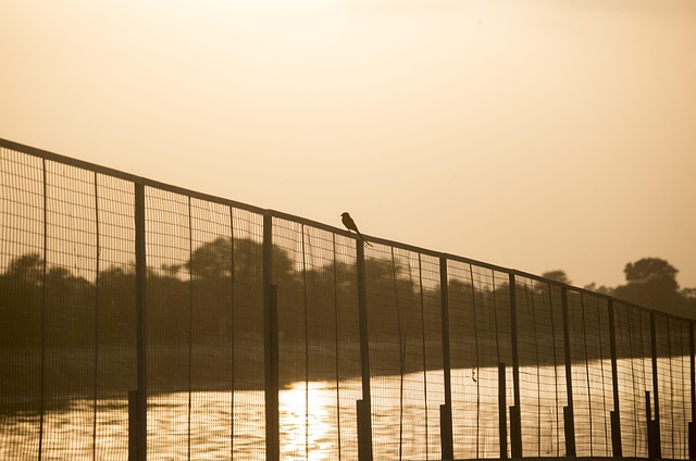 Free Sky Outdoors photo and picture