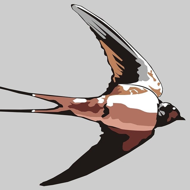 Free swallow bird nest illustration