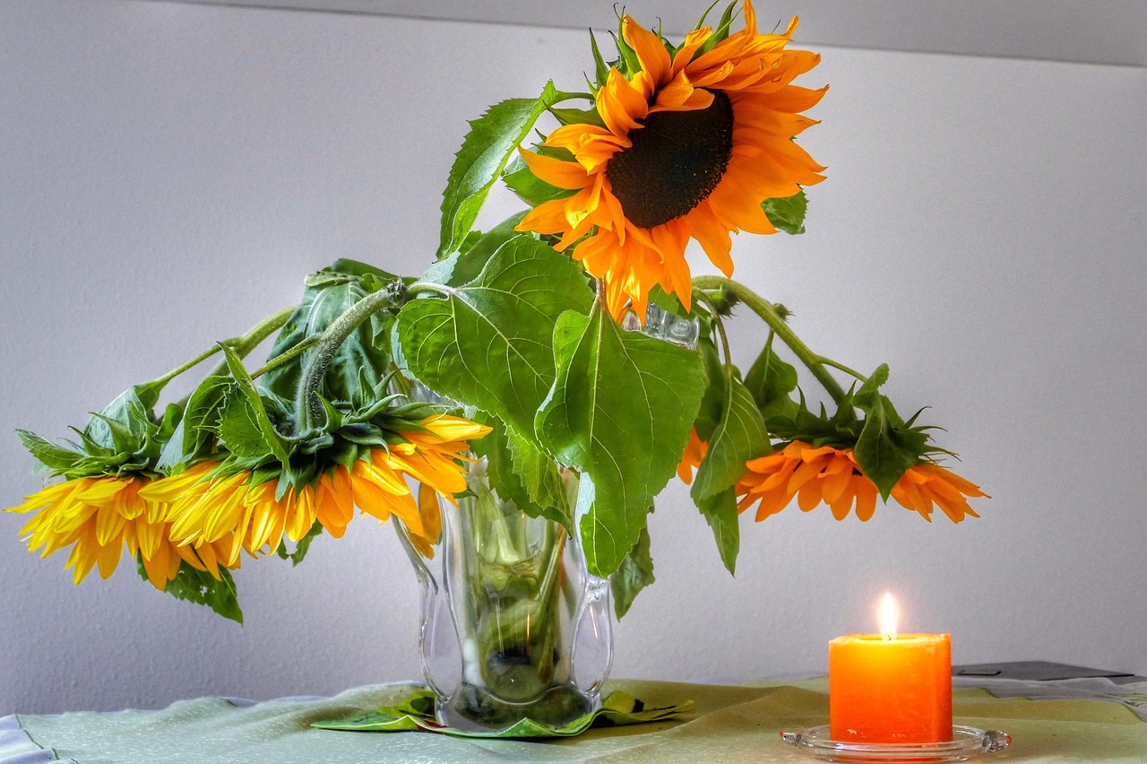 Vase Feuille Fleur - Photo gratuite sur Pixabay - Pixabay