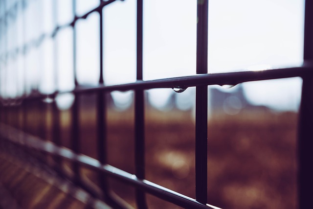 Free Fence Outdoors photo and picture