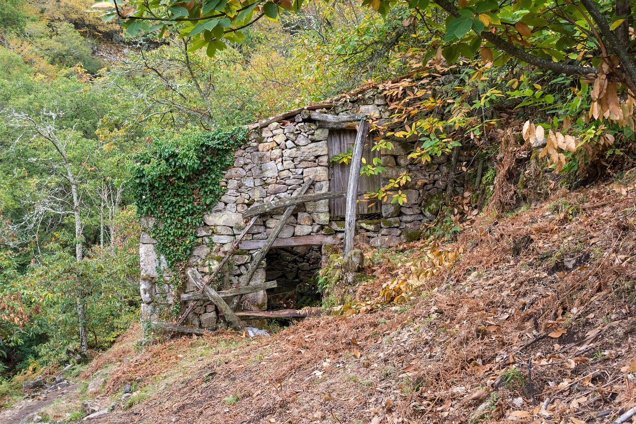 La Nature Bois En Plein Air - Photo gratuite sur Pixabay - Pixabay