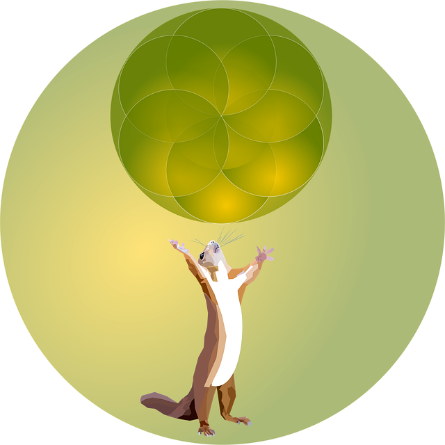Free animal squirrel nature vector
