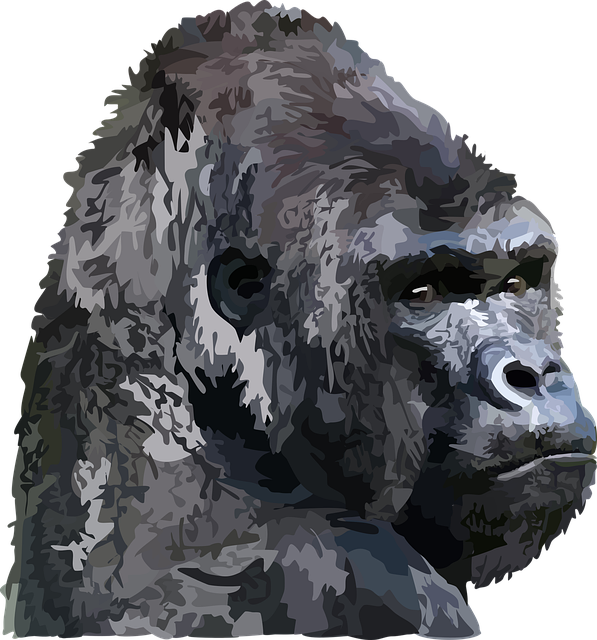 Free animal gorilla nature vector