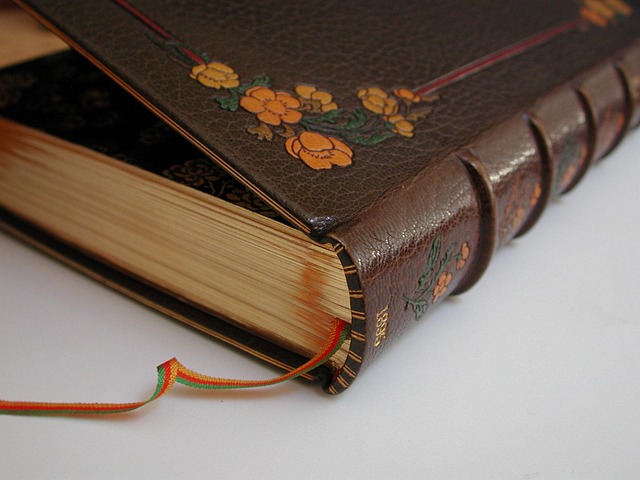 Litteratur, Uddannelse, Bog, Visdom