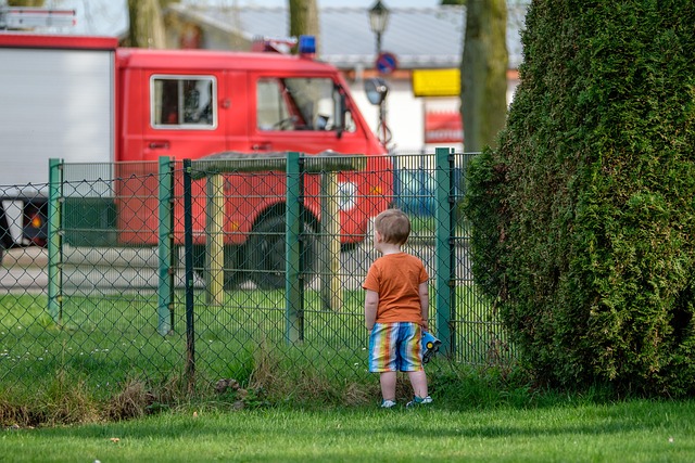 Free Grass People photo and picture