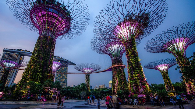 Free Garden By The Bay Singapore photo and picture