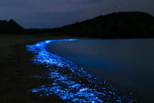 Tour Cartagena - Isla de Barú AFRONÁUTICA Tour Isla de Barú AFRONÁUTICA, Playa en la oscuridad con Plancton Luminoso
