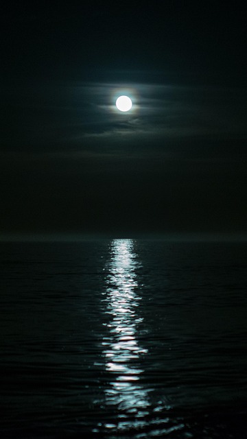 Free Nature Darkness photo and picture