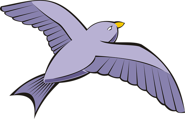 Free bird pigeon flight illustration
