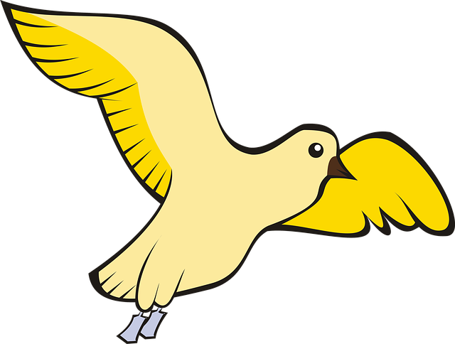 Free bird pigeon flight illustration