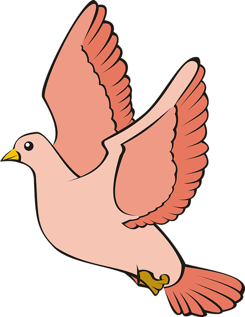 Free bird pigeon flight illustration