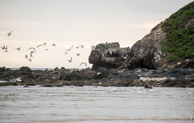 Free Water Sea photo and picture