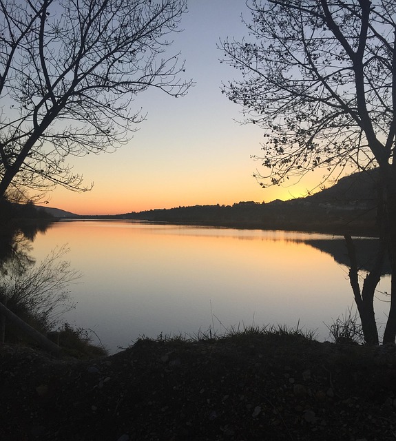 Daggry, Solnedgang, Træ, Landskab, Natur