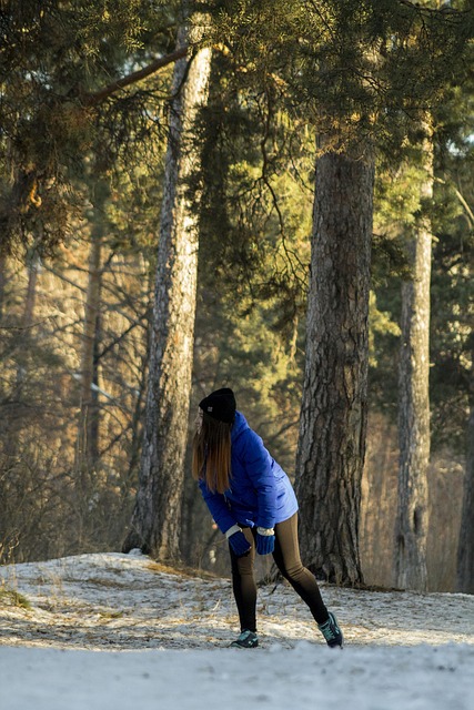 Free Tree Wood photo and picture