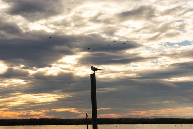 Free Sky Sunset photo and picture
