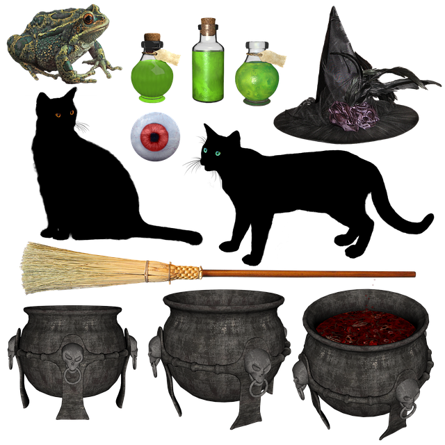 Free witch pet halloween illustration
