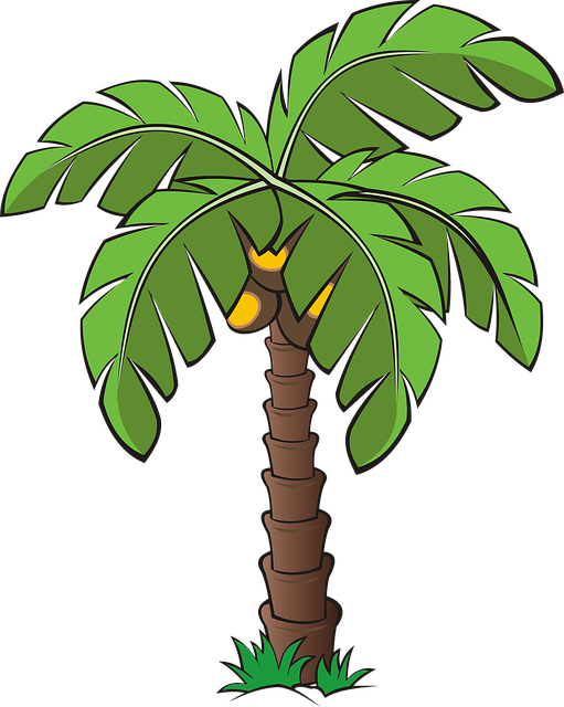 Tree Trees Palm Free Image On Pixabay Tree Trees Palm Free Image On Pixabay