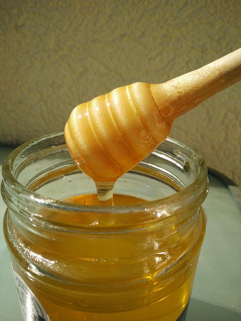 Free Honey Dipper photo and picture