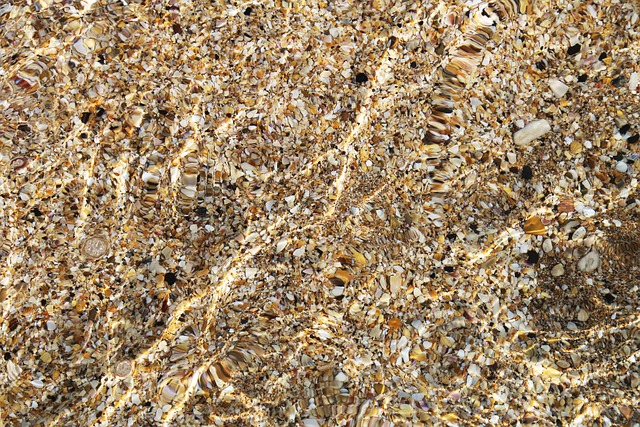 Hintergrund, Wasser, Muschelgestein