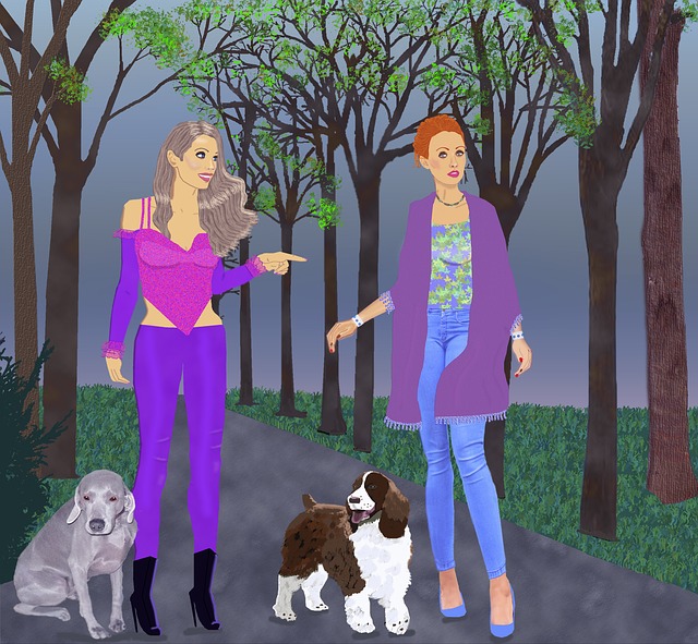 Free beautiful women english springer spaniel dog grey dog illustration