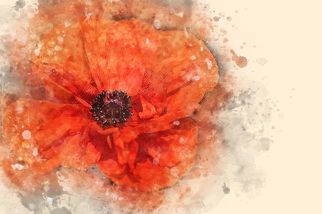 Free poppy flower petal illustration