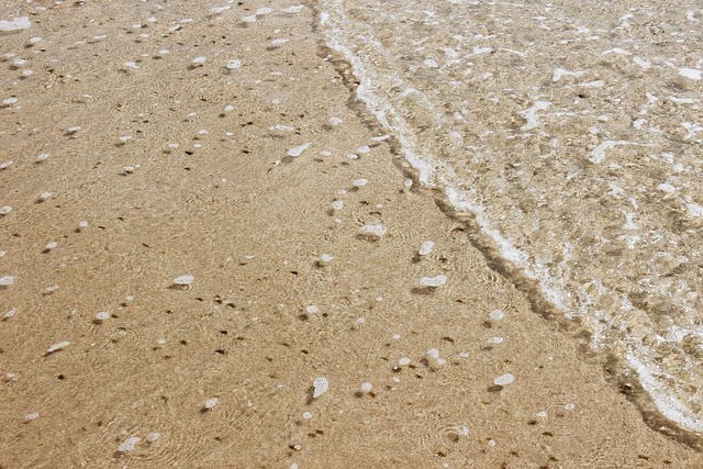 Free Sand Beach photo and picture