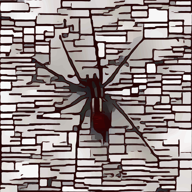 Spinne, Pop Art, Käfer, Insekt