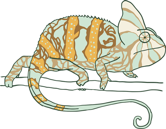Free chameleon drawing nature vector