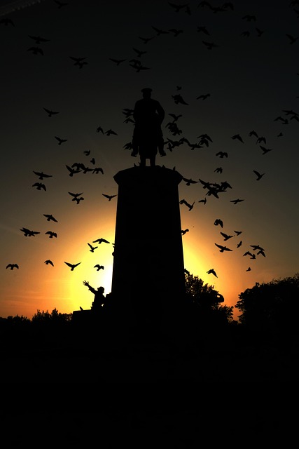Free Silhouette Dusk photo and picture