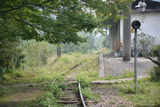 Free Taian Train Station Trains photo and picture