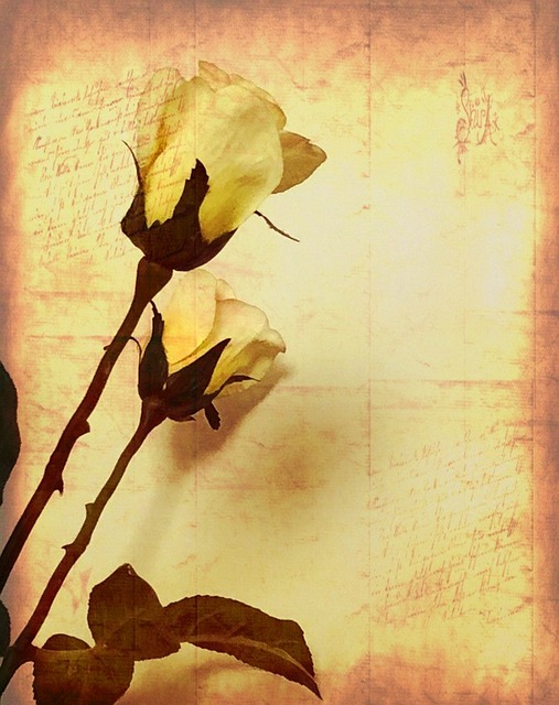 Free Flower Art photo and picture