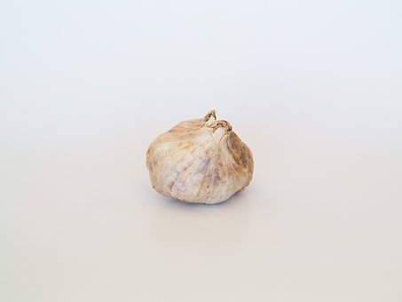 Free Garlic Vegetable photo and picture
