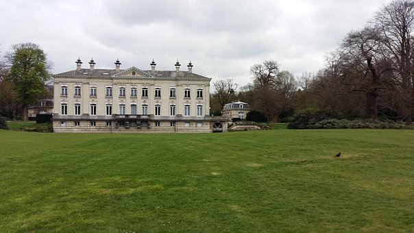 Free Lawn Grass photo and picture