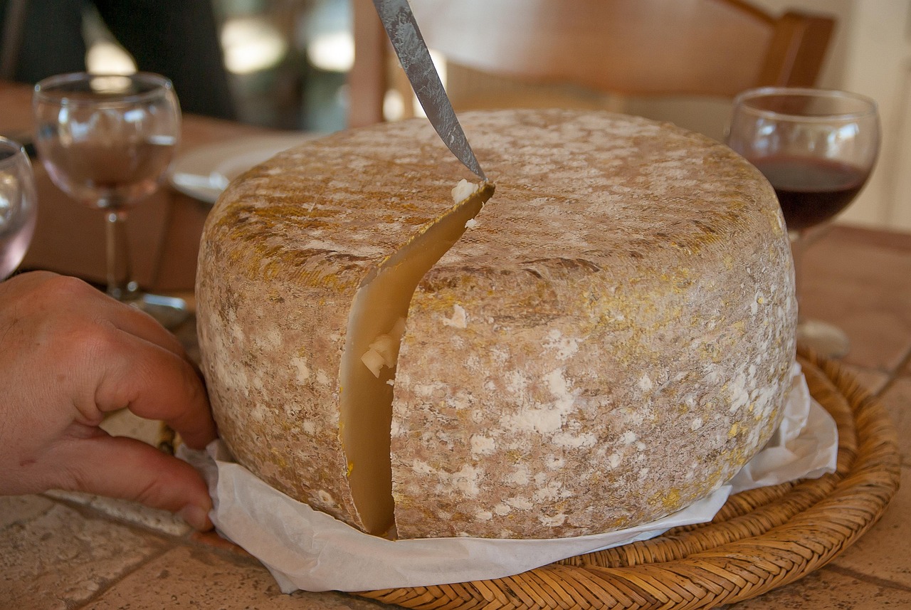 Queso, Oveja, Cortar, Fábrica De Quesos