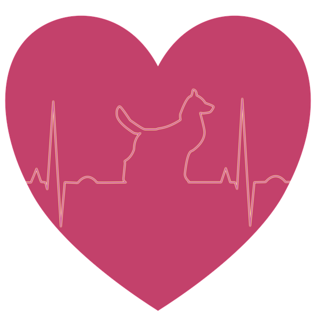 Free ecg heart pet illustration