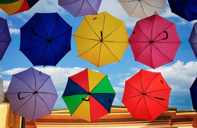 Free Umbrella Vivid photo and picture