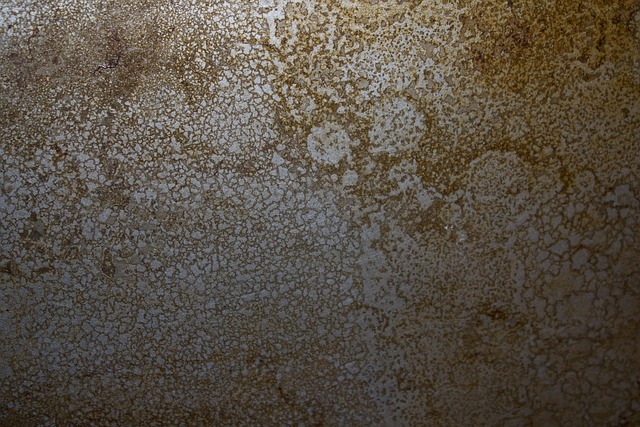 Free Texture Rusty photo and picture
