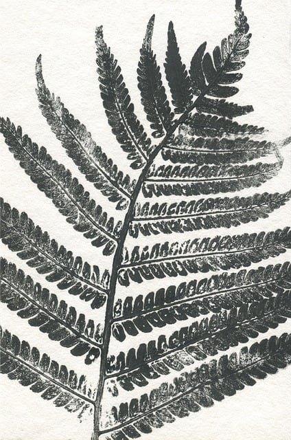 Free Leaf Nature illustration and picture