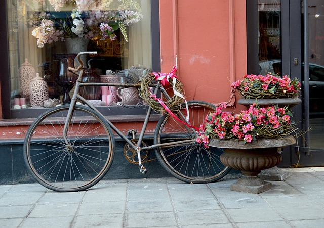 Free Wheel Flower photo and picture
