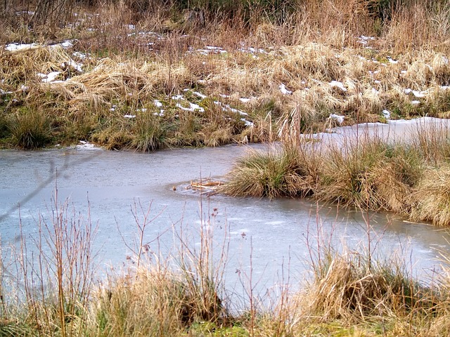 Free Waters Nature photo and picture
