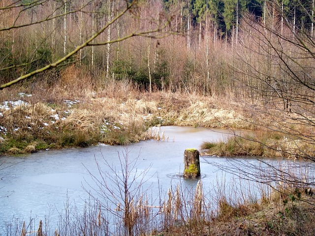 Free Waters Nature photo and picture