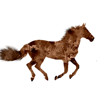 Free Horse Animal illustration and picture