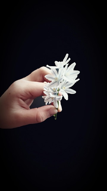 Free Nature Ipad Wallpaper photo and picture