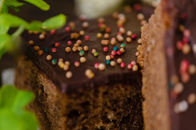 Free Dessert Chocolate Tart photo and picture