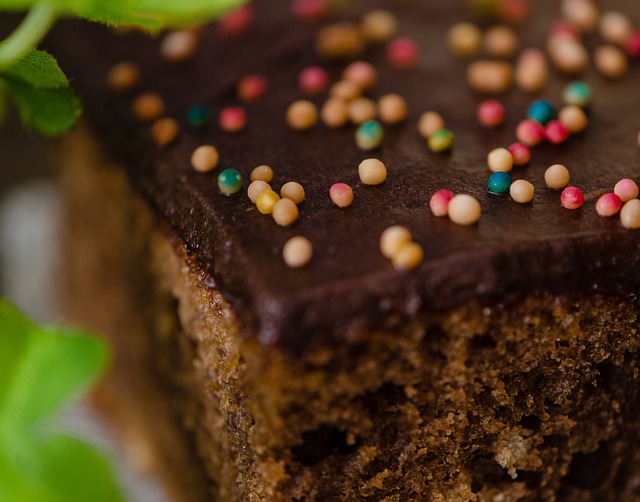 Free Dessert Chocolate Tart photo and picture