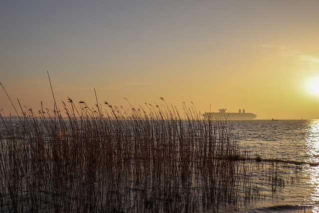 Free Nature Sunset photo and picture